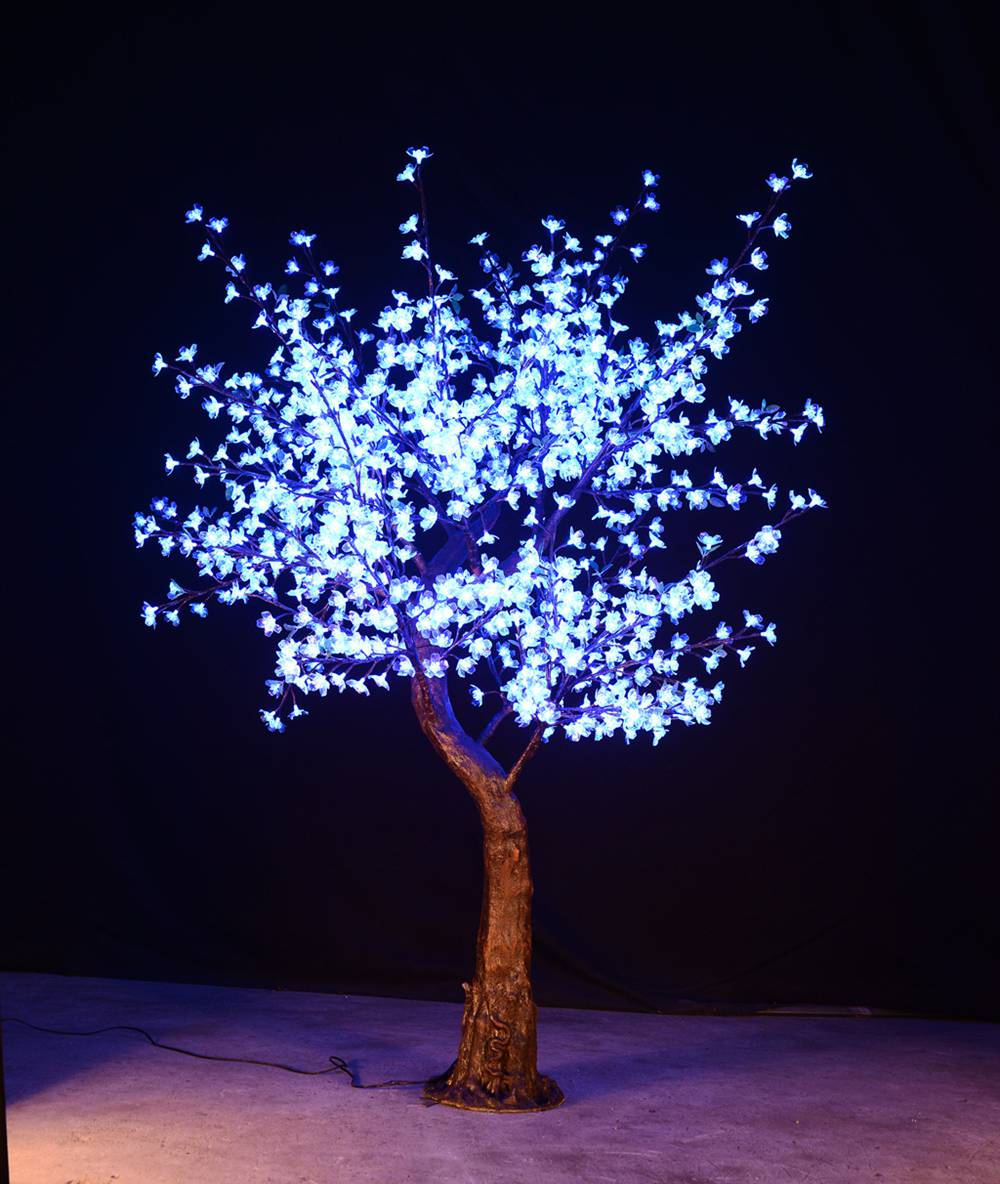 Luminous 5