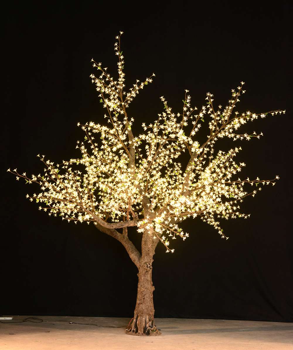 Luminous 8