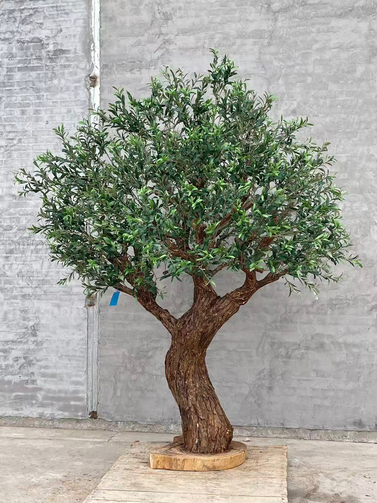 Olive Tree 86" x 78" x 102"