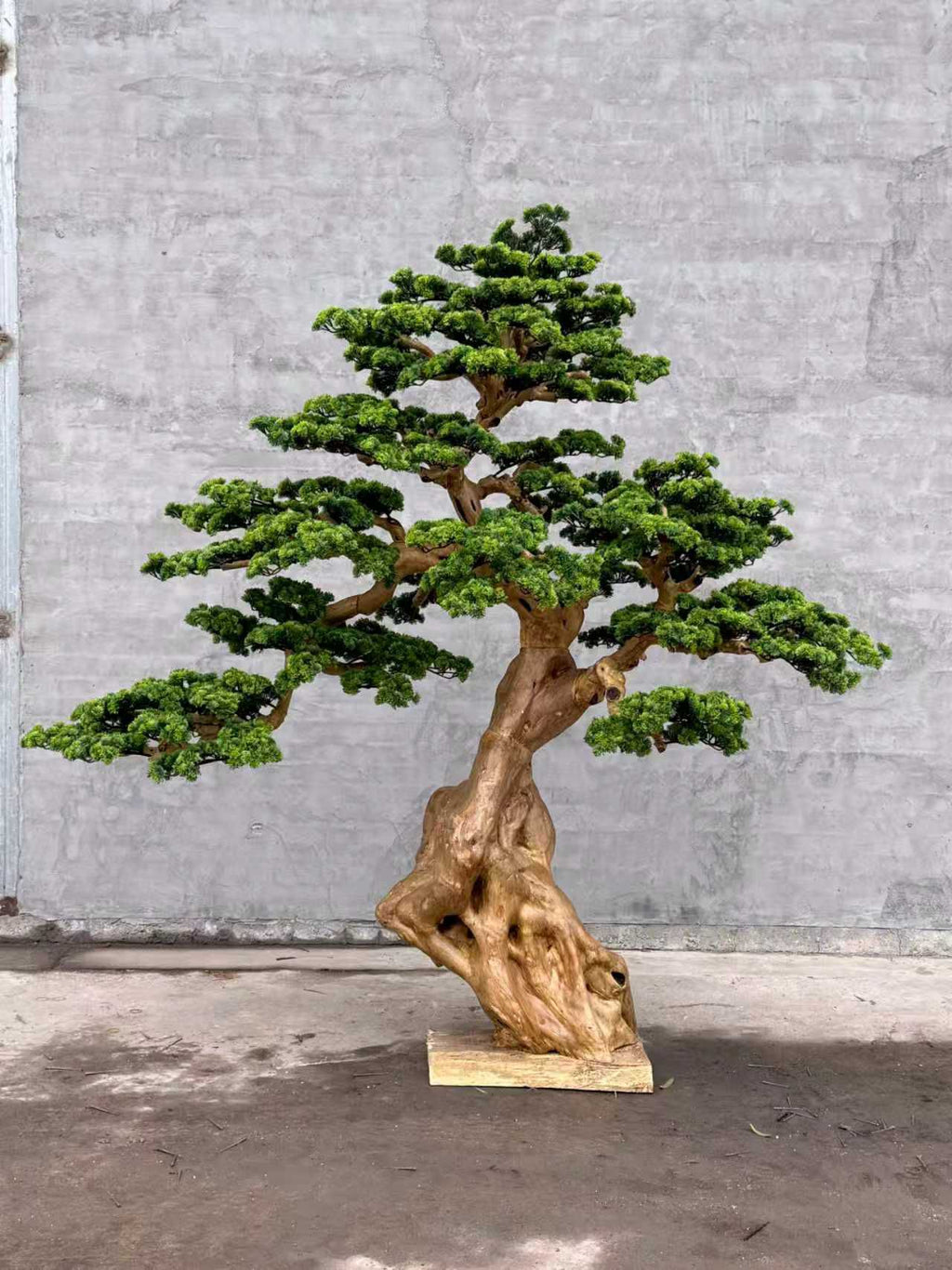 Pine Tree 78" x 40" x 78"