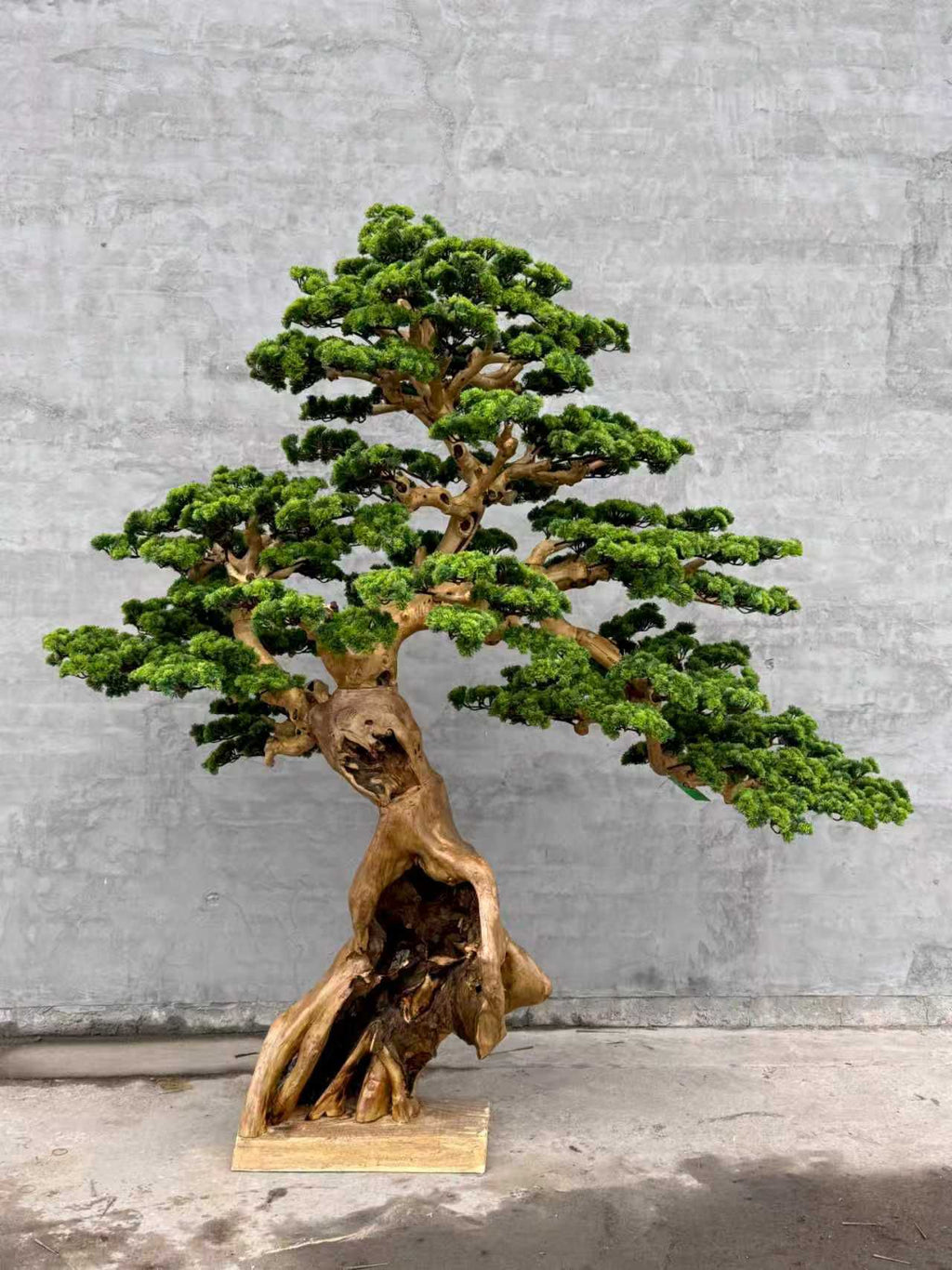 Pine Tree 78" x 40" x 78"
