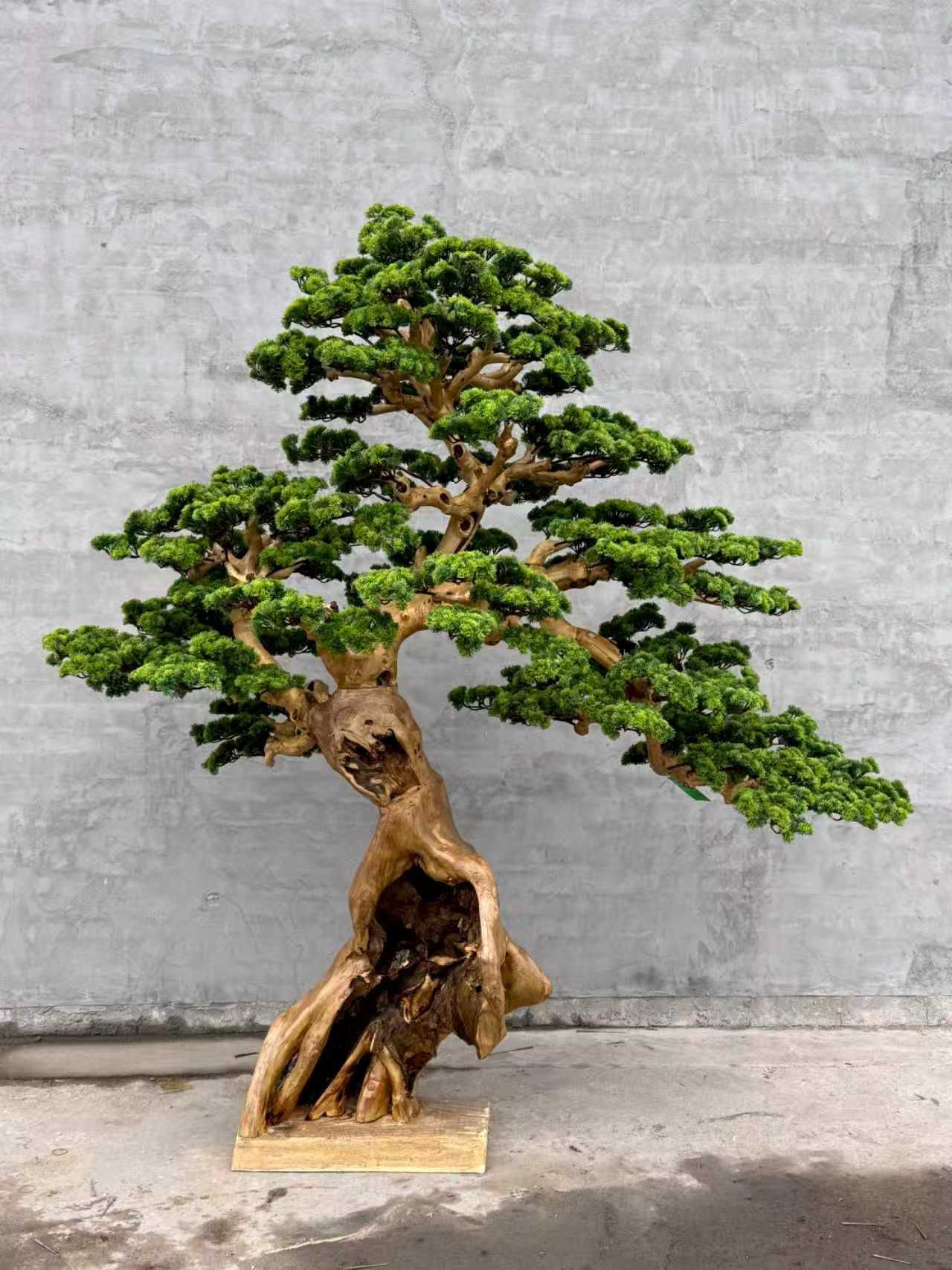 Pine Tree 78" x 40" x 78"